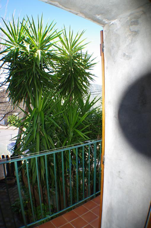 Gite , Maison De Vacances Avec Exterieur Et Terrasse Fleurie Meuble Tourisme 3 Etoiles Santa-Lucia-di-Tallano Exterior foto