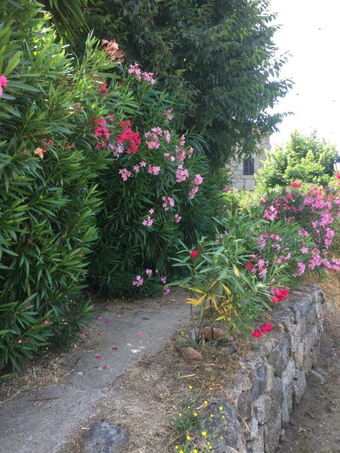 Gite , Maison De Vacances Avec Exterieur Et Terrasse Fleurie Meuble Tourisme 3 Etoiles Villa Santa-Lucia-di-Tallano Exterior foto